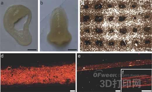鋁型材折彎圓弧機(jī)